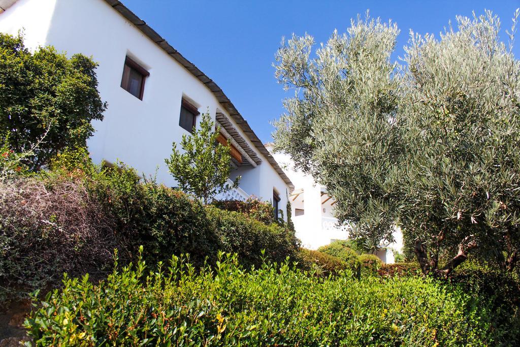 La Oveja De La Alpujarra