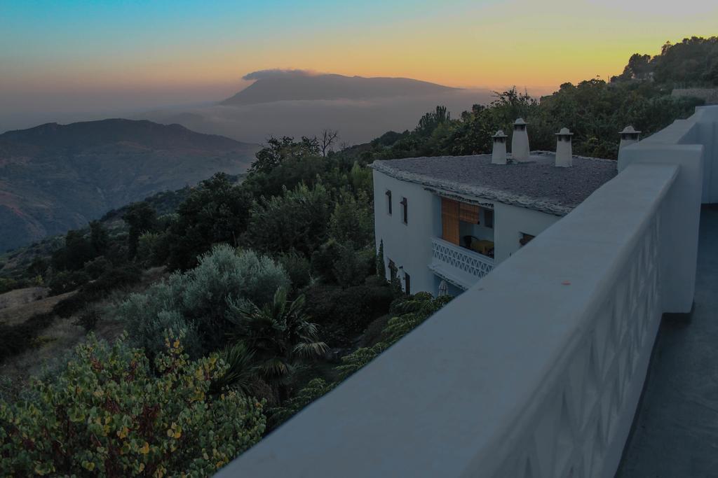La Oveja De La Alpujarra