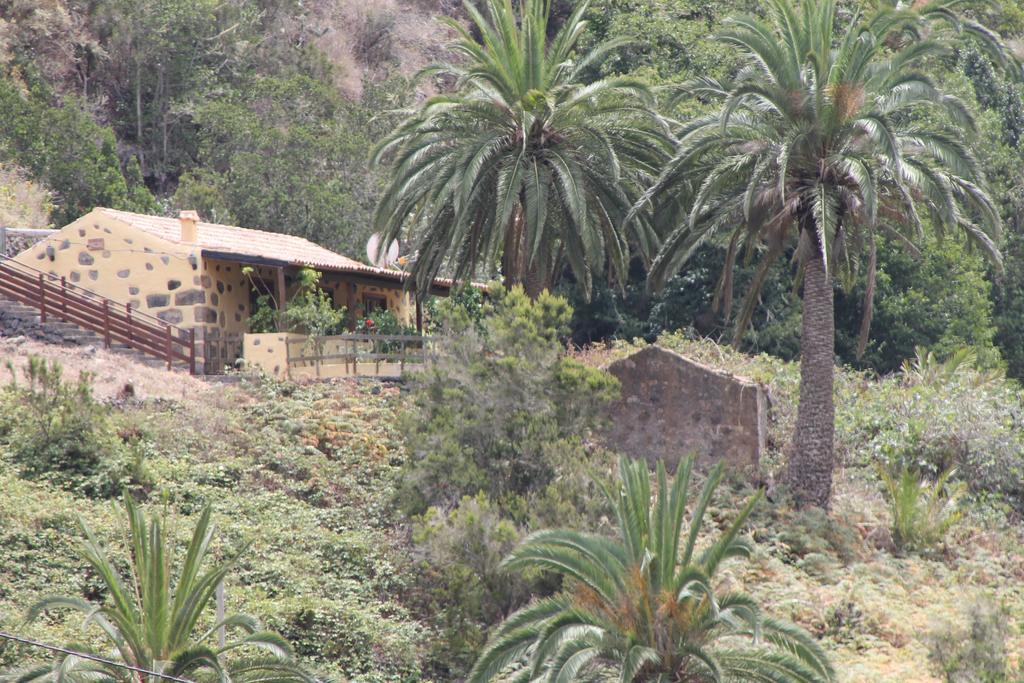 El Rincón De Antonia *