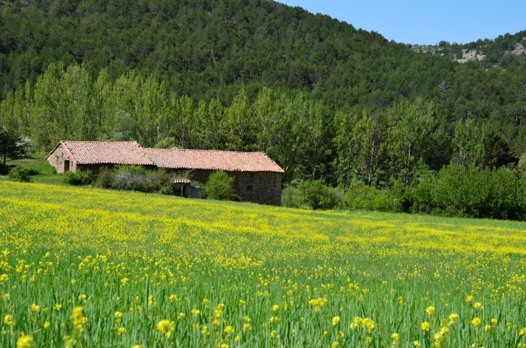 Rural Casa Ramiro Hotel 2*