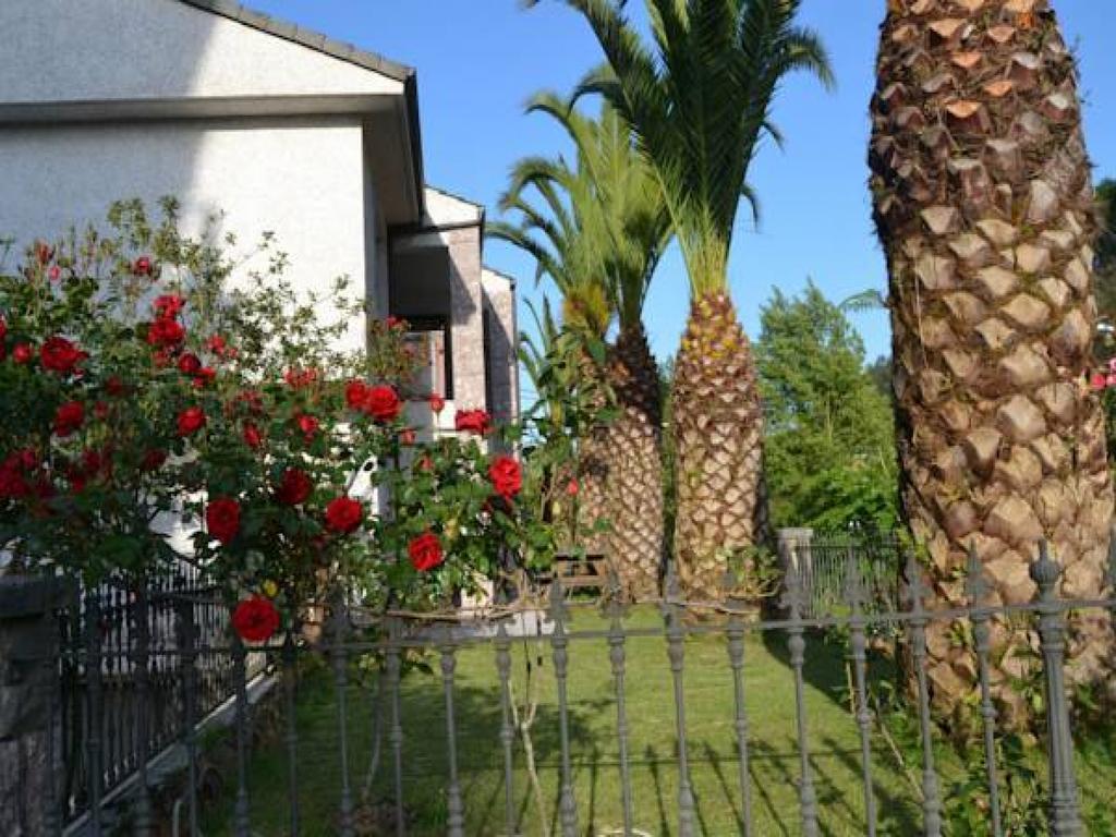 Palmeras Apartamento