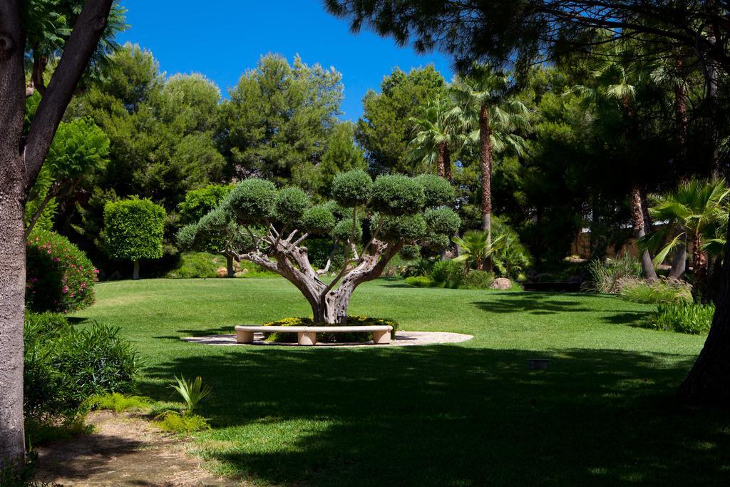 Jardines De Amaltea Lorca (Murcia)