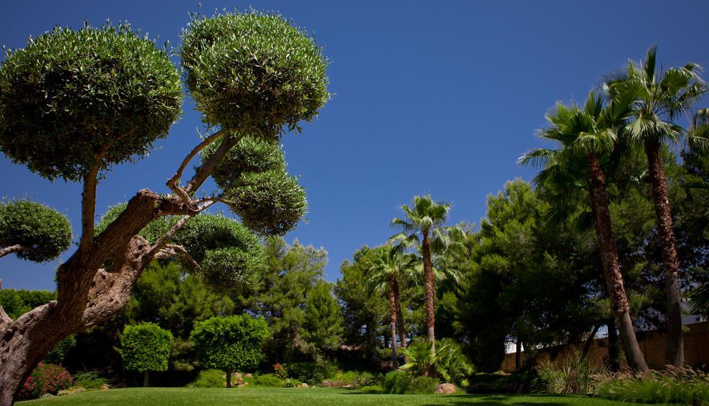 Jardines De Amaltea