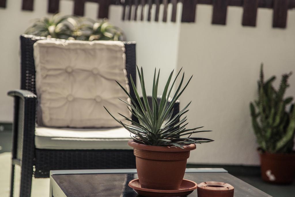 Hostel The Melting Pot & Kiteschool Tarifa