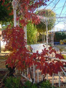 Boutique Hotel La Zubia (Granada)