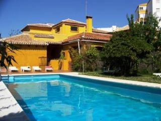 Doñana Blues 2*