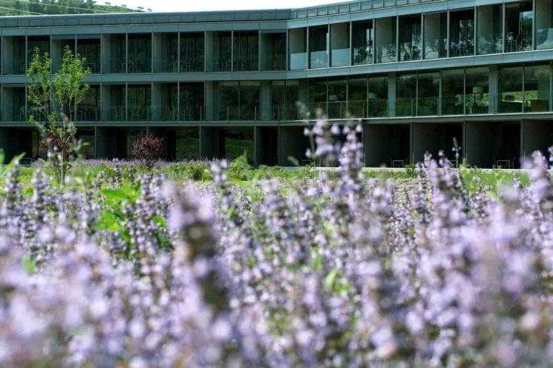 Món Sant Benet Hotel