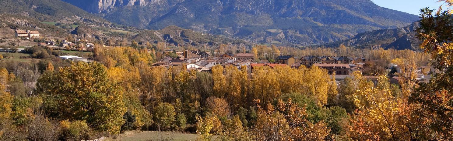 Nogales Campo (Huesca)