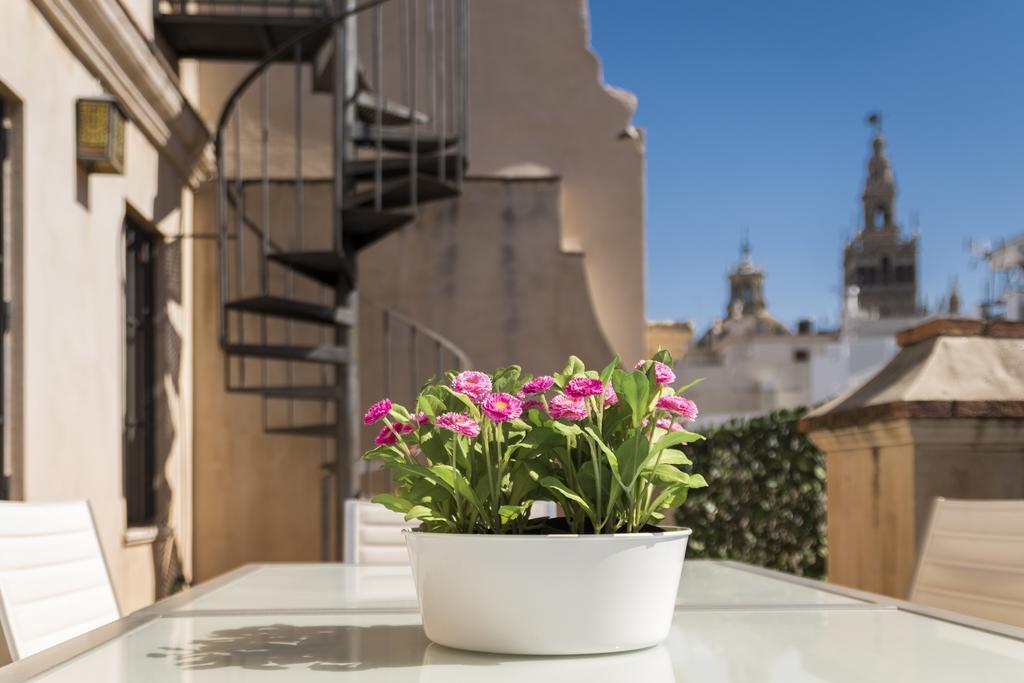 Genteel Vinuesa Seville
