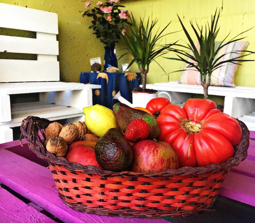 La Galayca *