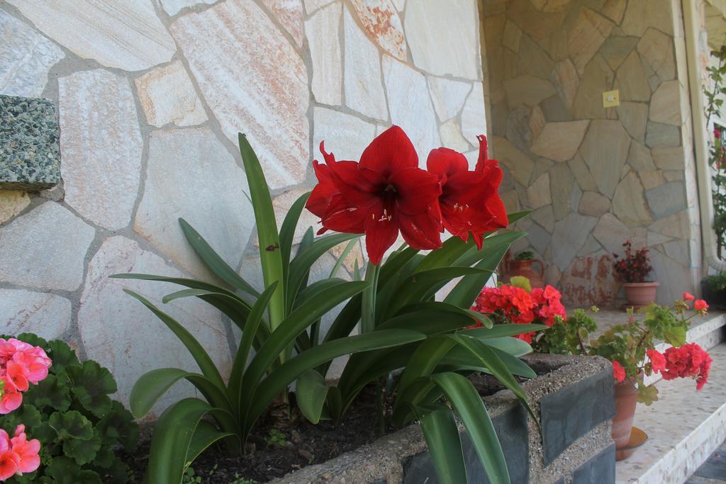 Pension Riego De Ambros Guest house *