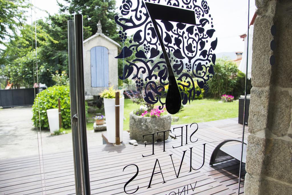 Hotel 7 Uvas