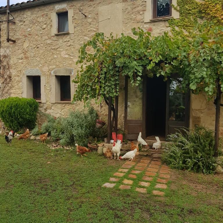 Country house Canaleta Rural *