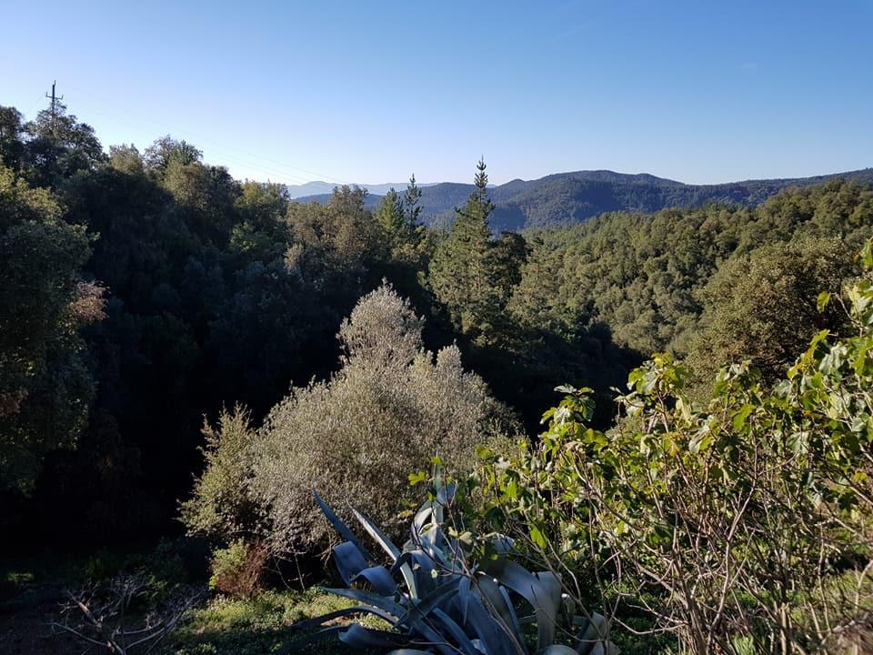 Country house Canaleta Rural *