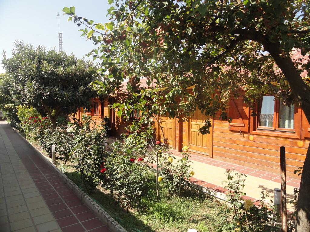 Gran Avenida Guest house Tarancon