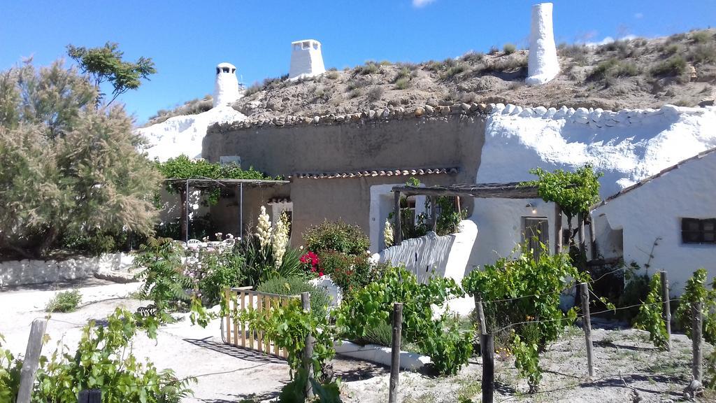 Apartment Al Jatib