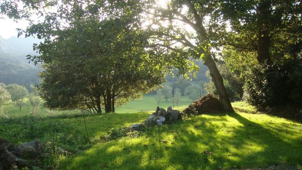 Apartamento La Ventanita Del Campo La Cavada