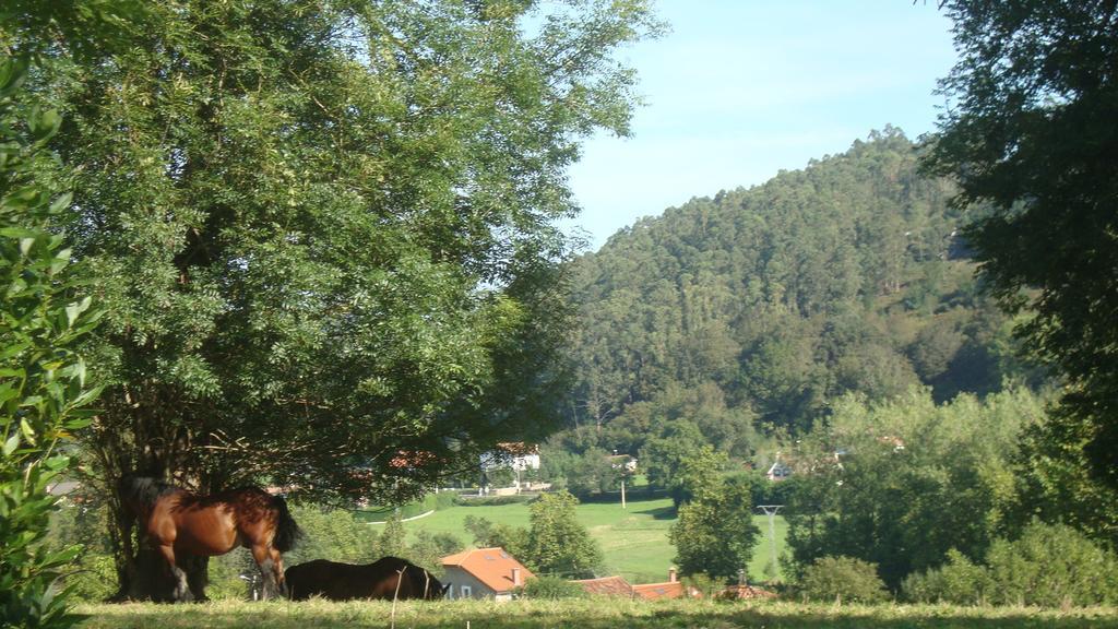 La Ventanita Del Campo Apartamento