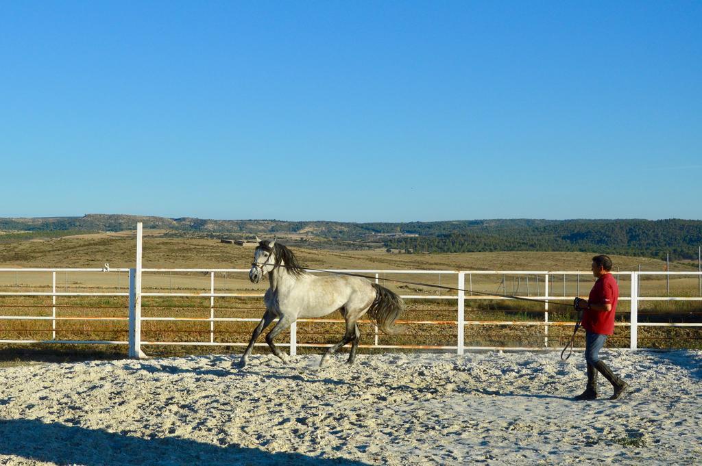 Rural Rurales Guest house