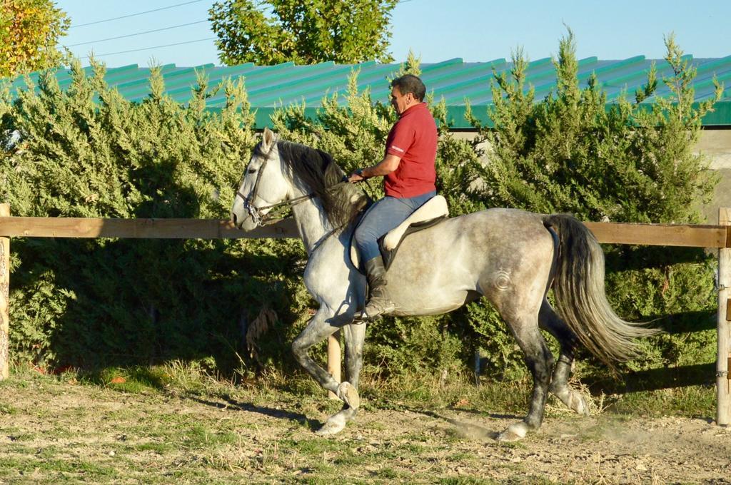 Rural Rurales *