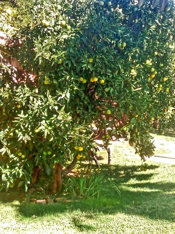 Donatila Casa rural *