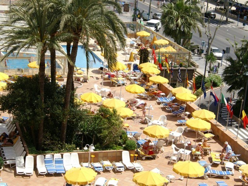 Don Pancho - Designed For Adults 4*