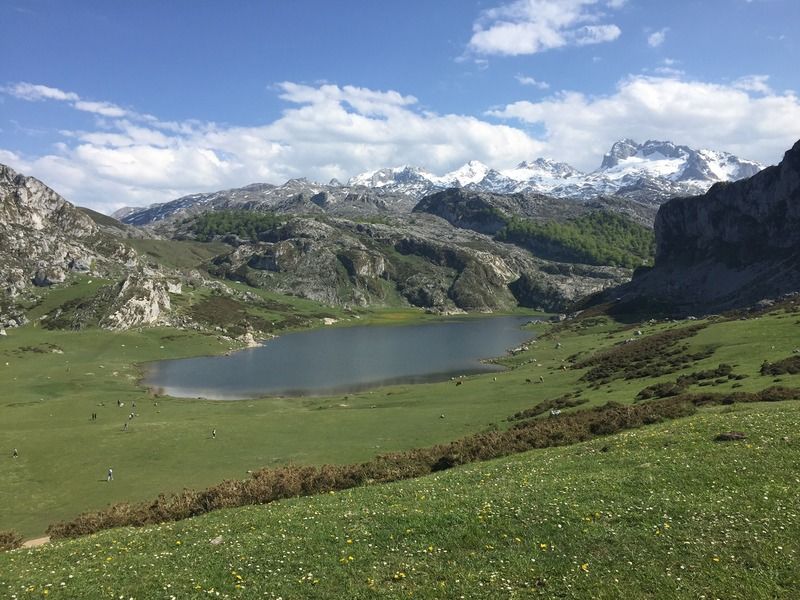 Hotel Arcea Gran Pelayo 4*
