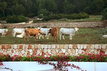 Farm stay Atalis - Adults Only Santo Tomas
