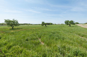 Granja