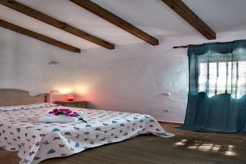 Guest house La Aceitera De Trafalgar 3*