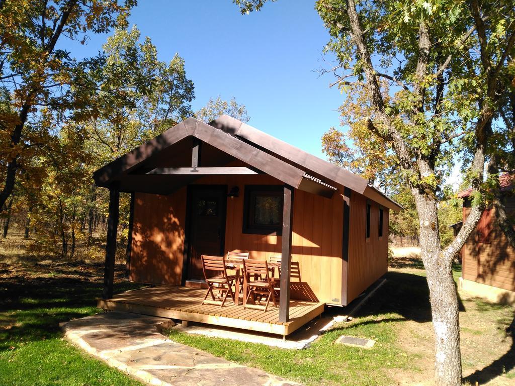 Camping Riaza * Riaza