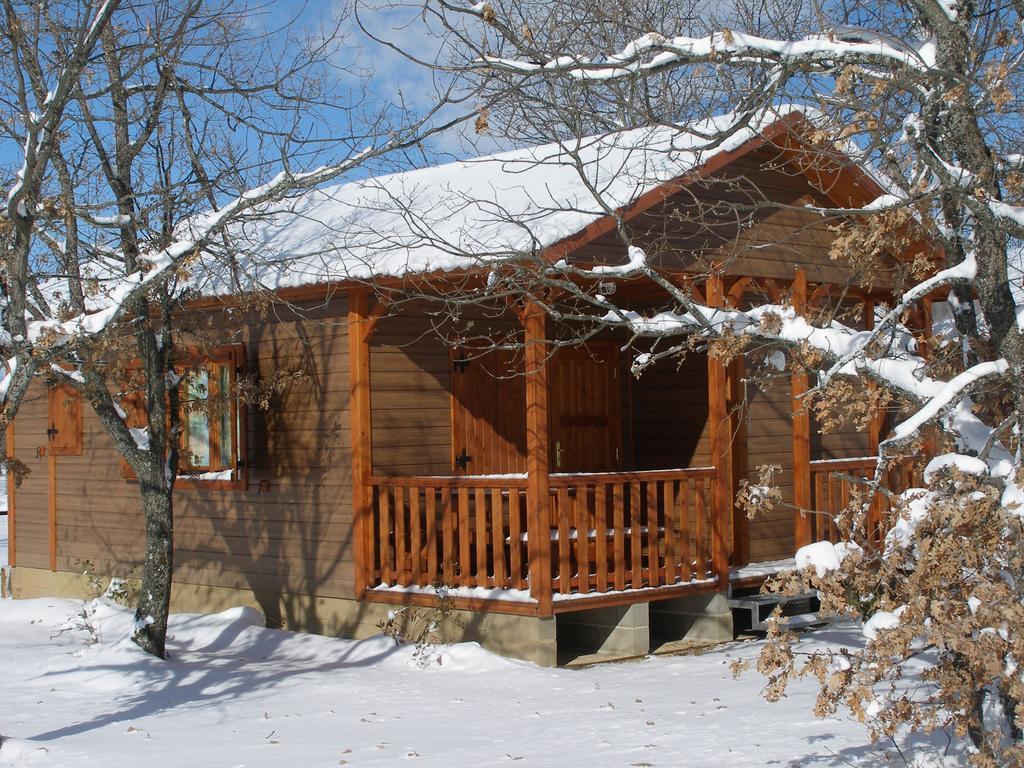Camping Riaza Campsite *