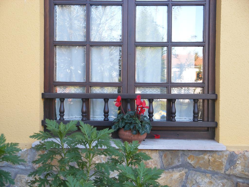 Casa rural La Fragua Del Canajal San Cosme