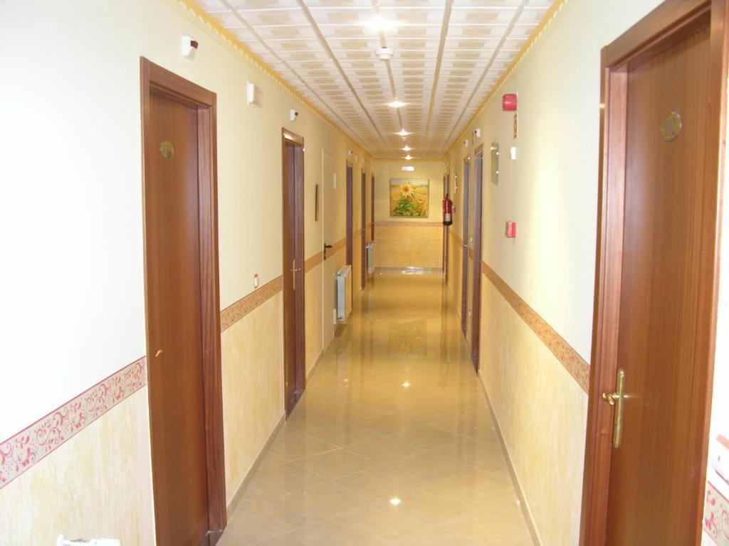 Vida Ostra Marina
