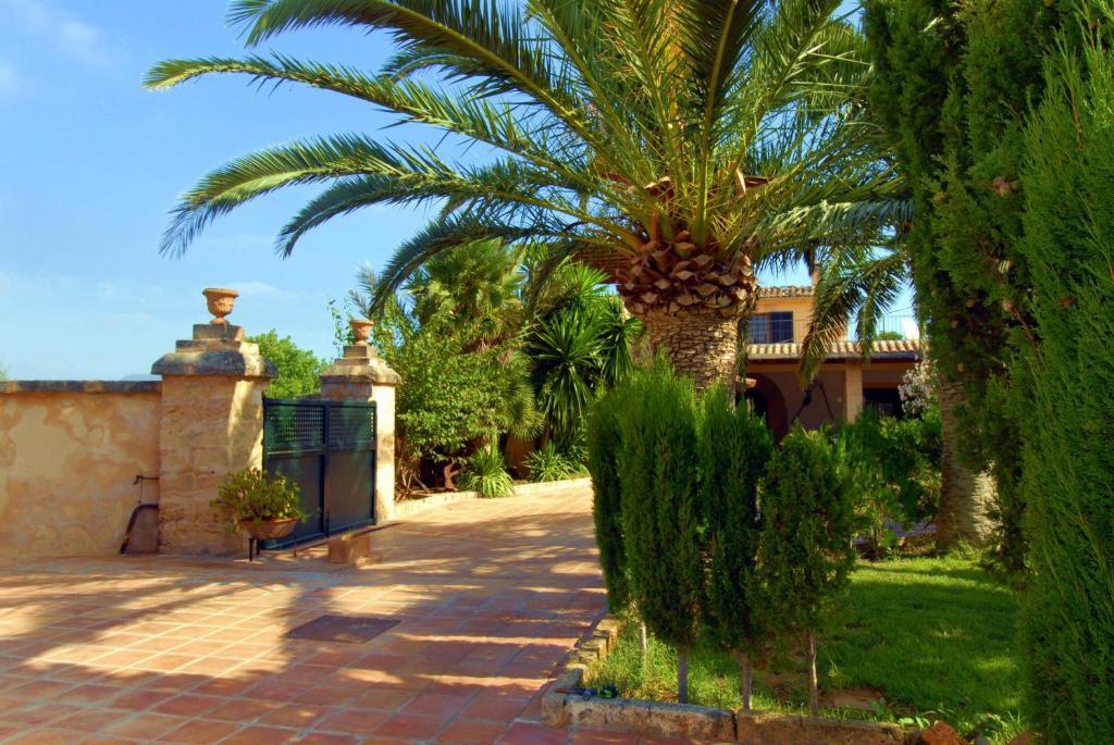 Farm stay Son Estrany *