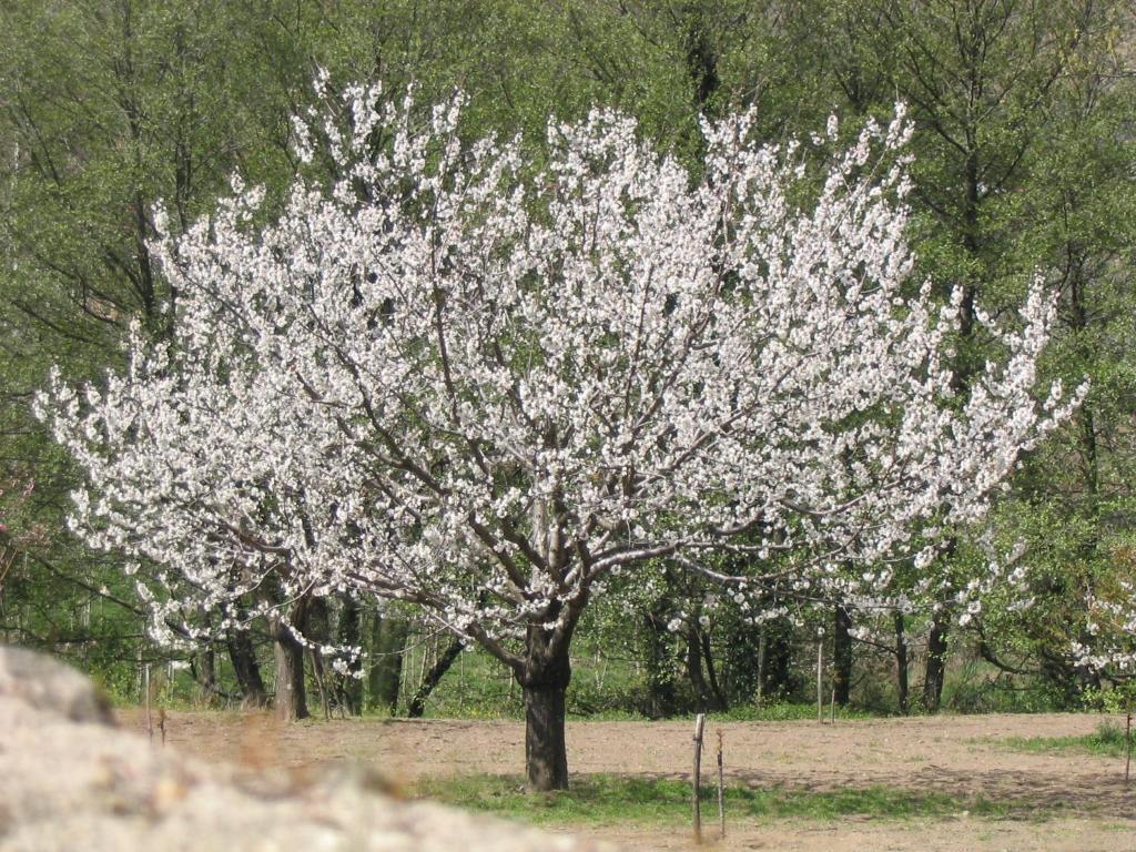 Valle Del Arenales