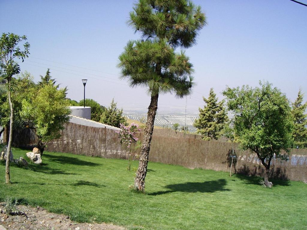 Manantial De Roya Estepa