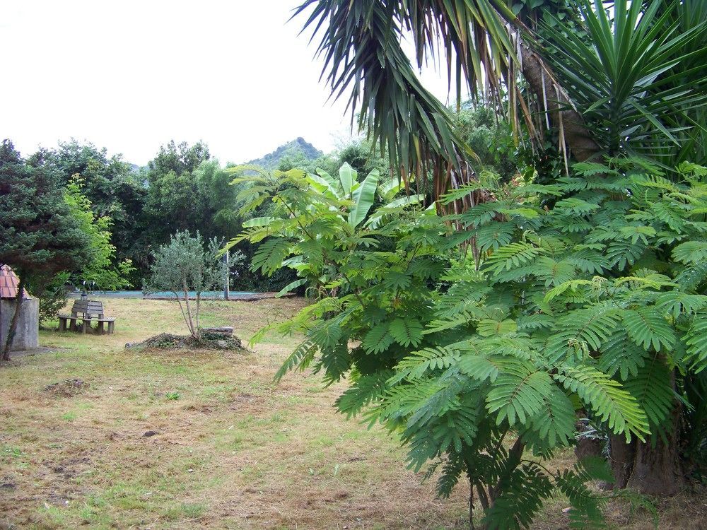 El Jardin De Aes Hotel 2*