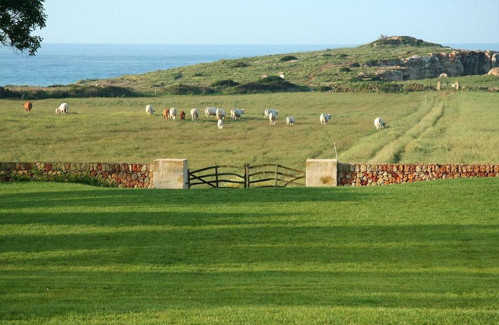 Atalis - Adults Only Farm stay *