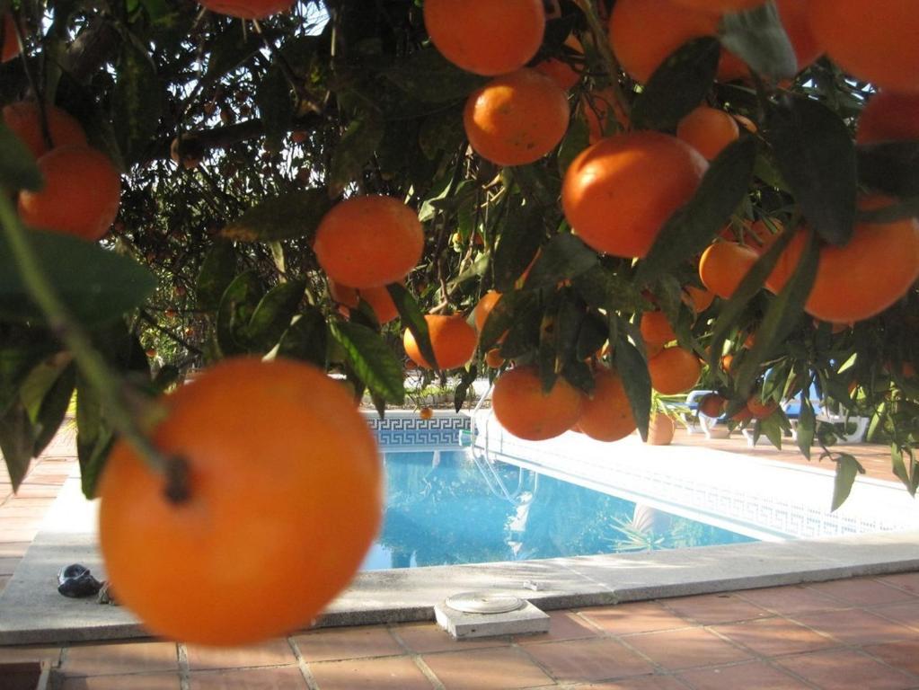 Bed & Breakfast Escuela La Crujia *