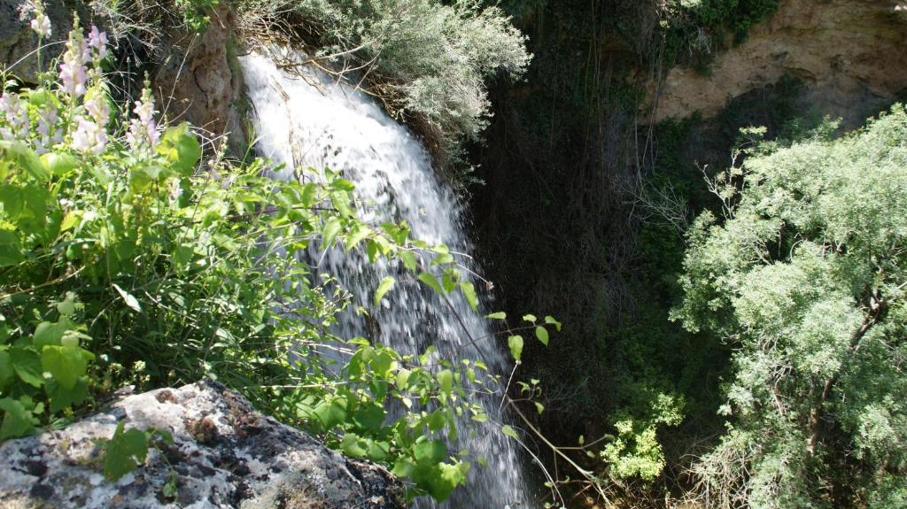 Cortijo Bellavista Country house