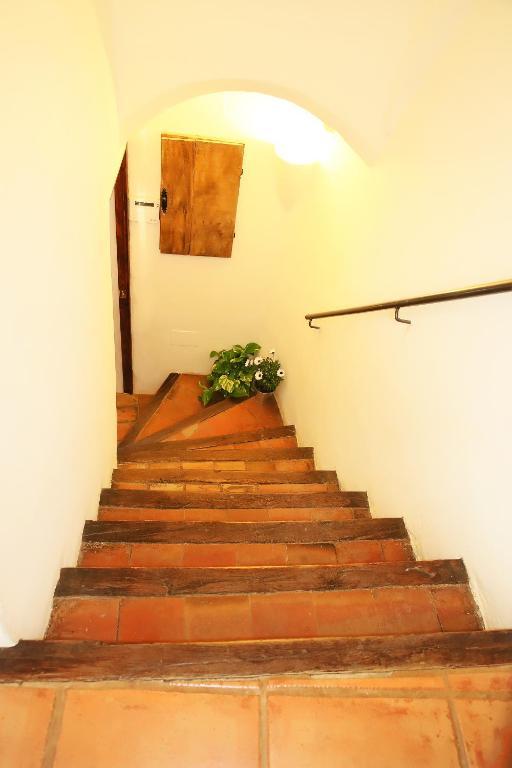 Casa rural Mas Martis