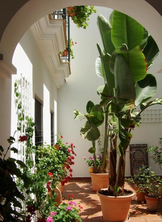 Casa Atlantica *