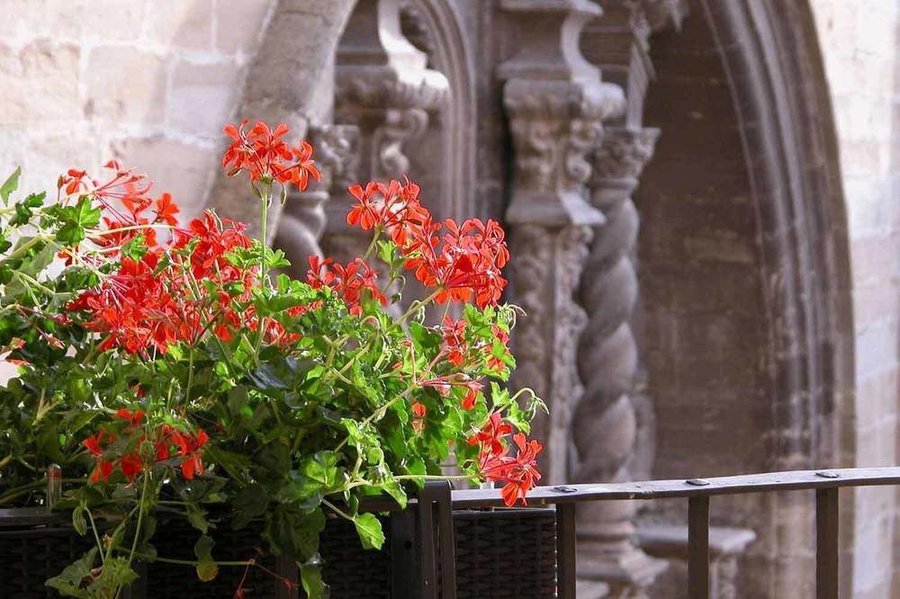 Portal Del Matarrana Hotel