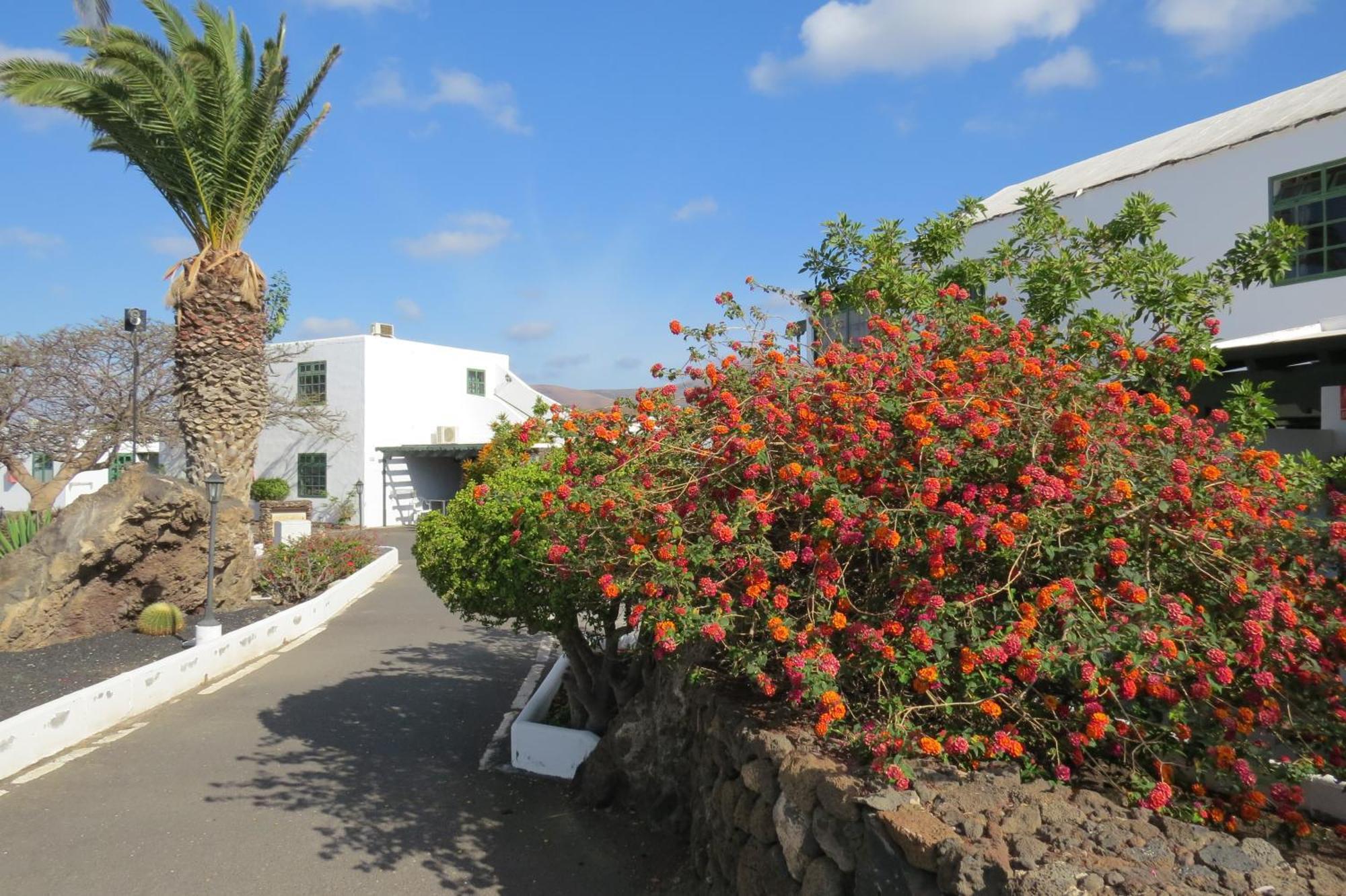 Casas Heddy, Well-being Hotel Puerto del Carmen (Lanzarote)