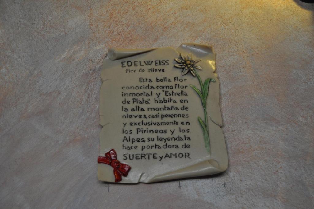 Flor De Neu Hotel 2*