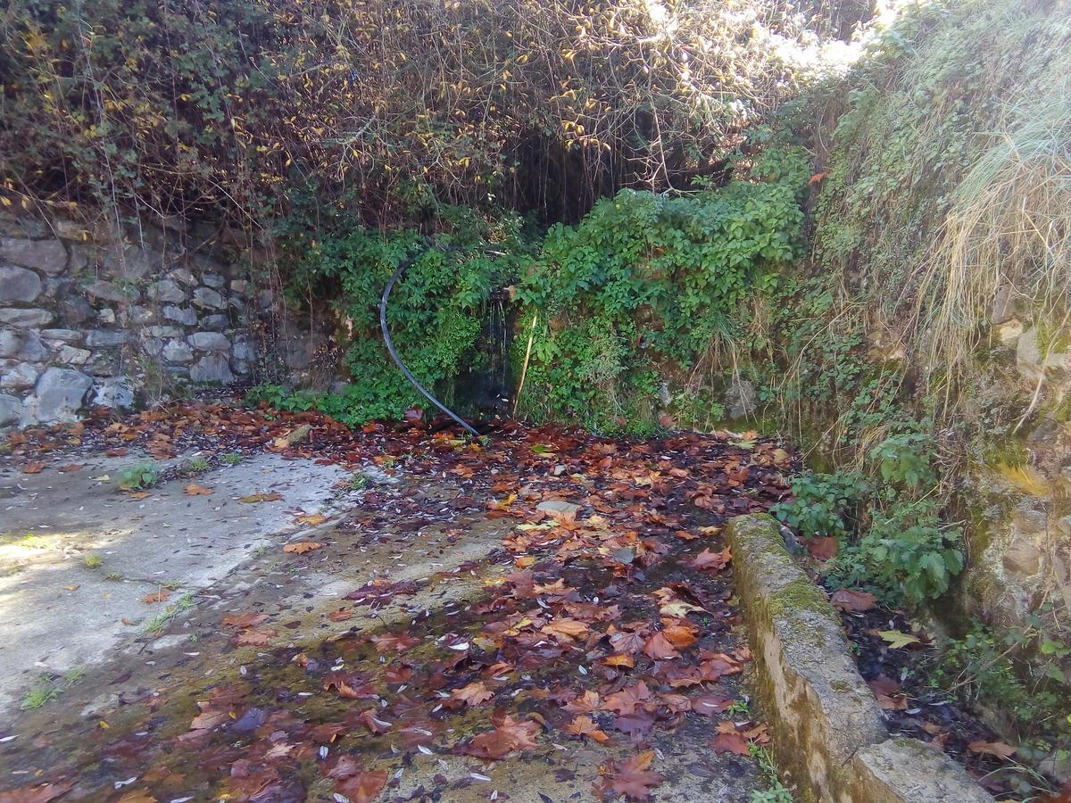El Rincón De Azarrulla *