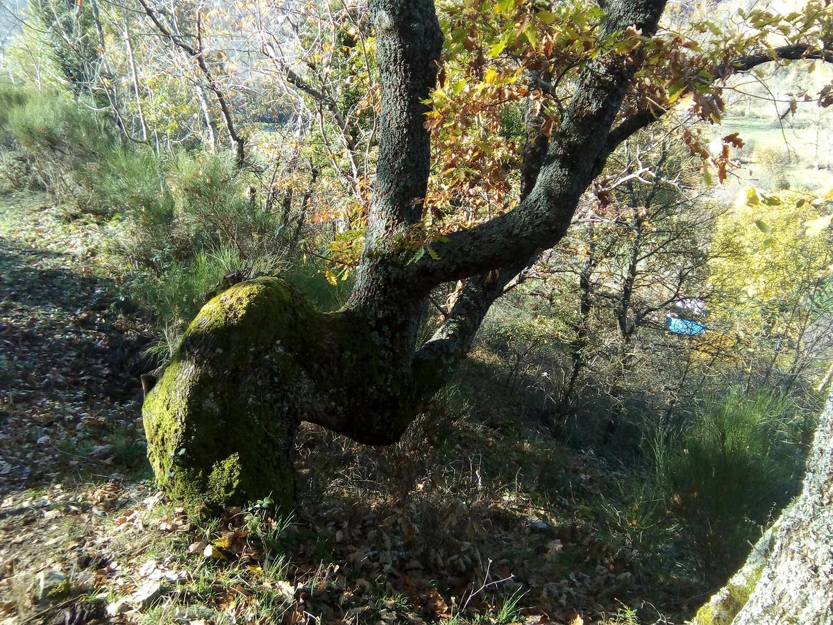 El Rincón De Azarrulla * Ezcaray