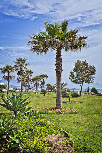 Albayt Beach Apartahotel 3*