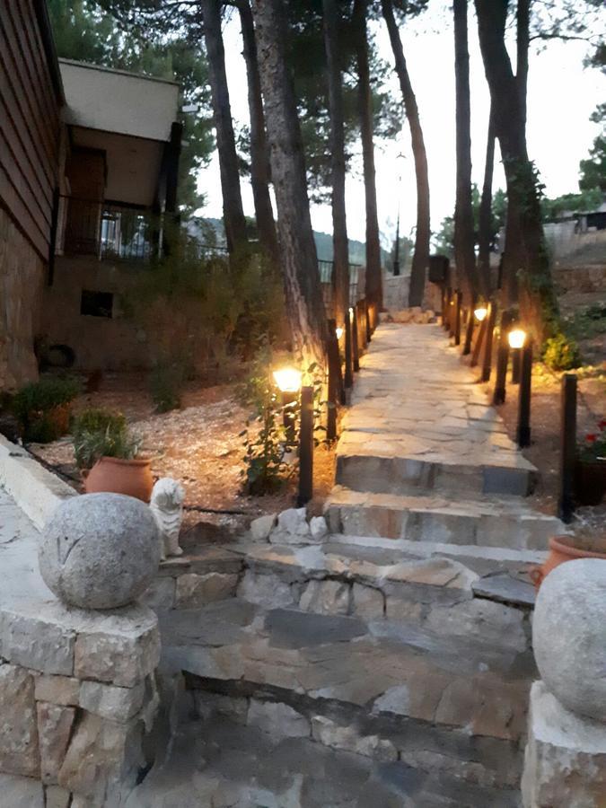 Hotel Vegasierra 3* Bogarra
